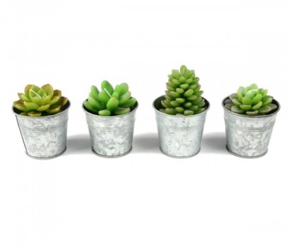 Potted_Succulent_Candles_by_Roost_2-sixhundred