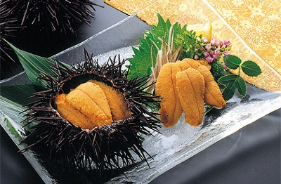 uni 